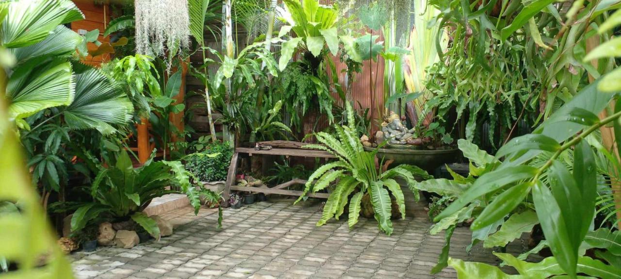 Ouychai Resort Home Stay チエンマイ エクステリア 写真