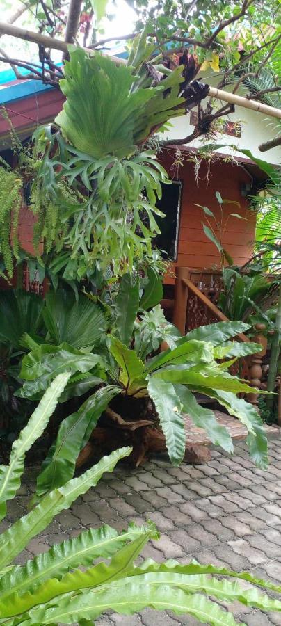 Ouychai Resort Home Stay チエンマイ エクステリア 写真